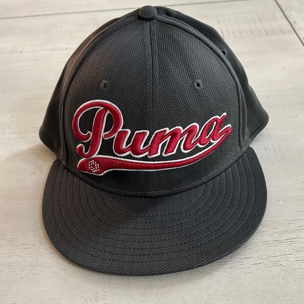 PUMA Flex Gray Hat